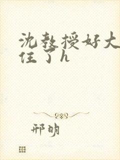 沈教授好大含不住了h