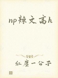 np辣文高h