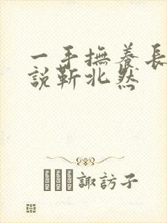 一手抚养长大小说靳北然