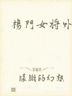 杨门女将外传