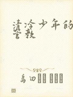 清冷少年的严厉管教