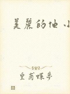 美丽的他 小说