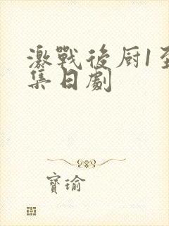 激战后厨1至5集日剧