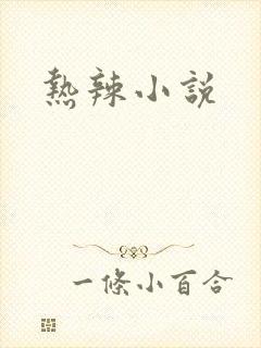 热辣小说