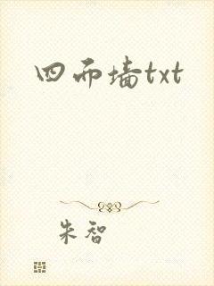 四面墙txt
