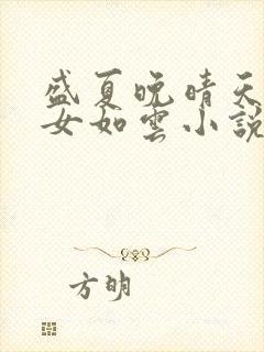盛夏晚晴天之美女如云小说