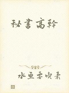 秘书高干