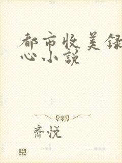 都市收美录宁素心小说