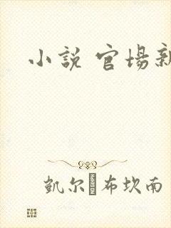小说 官场新贵