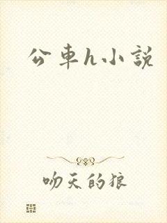 公车h小说