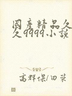 国产精品久久久久9999小说