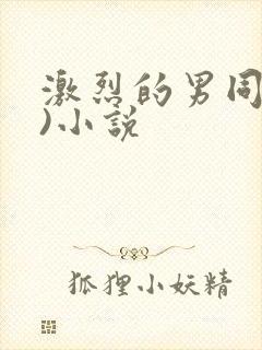 激烈的男同(h)小说