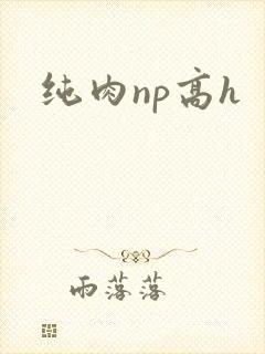 纯肉np高h