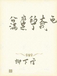 公么的大龟强大满足了我