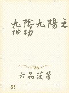 九阴九阳之阴阳神功