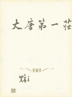 大唐第一庄