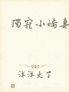 独宠小娇妻