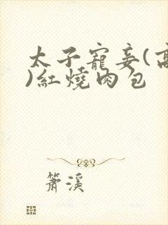 太子宠妾(高肉)红烧肉包