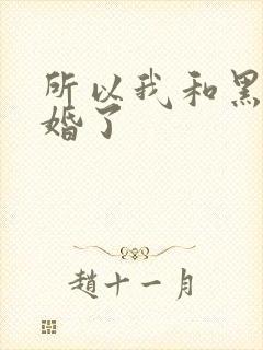 所以我和黑粉结婚了