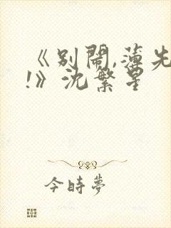 《别闹,薄先生!》沈繁星