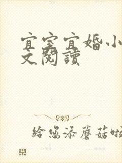 宜室宜婚小说全文阅读