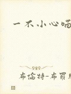 一不小心喵上你