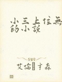 小三上位无三观的小说