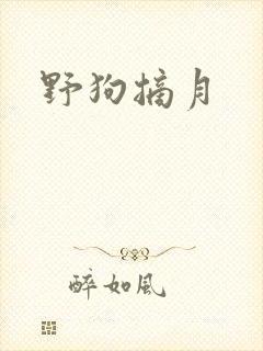 野狗摘月
