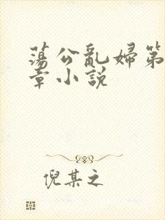 荡公乱妇第51章小说