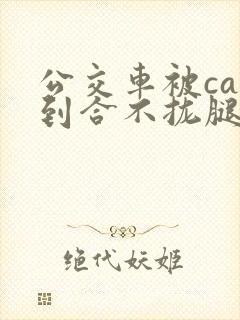 公交车被cao到合不拢腿视频