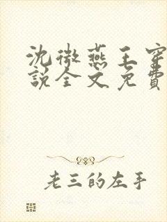 沈微燕王穿越小说全文免费阅读