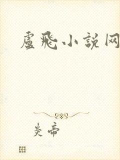 卢飞小说网