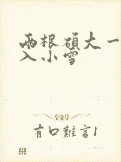 两根硕大一起挤入小雪