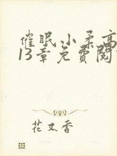 催眠小柔高达第13章免费阅读