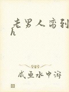 老男人脔到她哭h