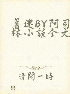 着迷BY阿司匹林小说全文免费阅读