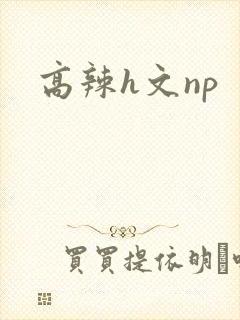高辣h文np