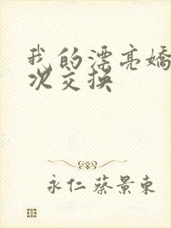 我的漂亮娇妻初次交换