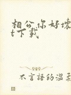 相公你好坏txt下载