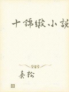 十锦缎小说