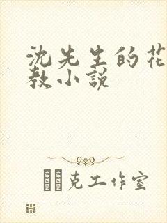 沈先生的花式调教小说