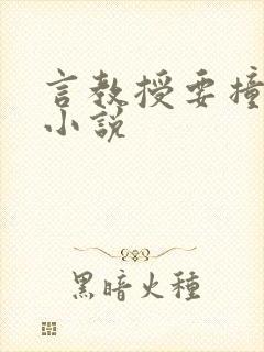 言教授要撞坏了小说