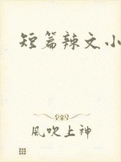 短篇辣文小说