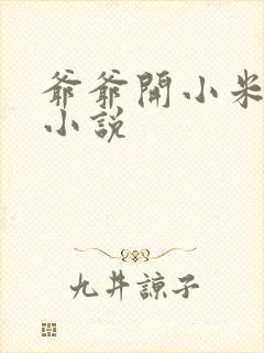 爷爷开小米的包小说