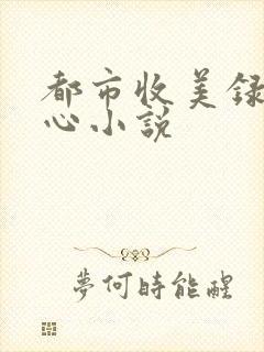 都市收美录宁素心小说