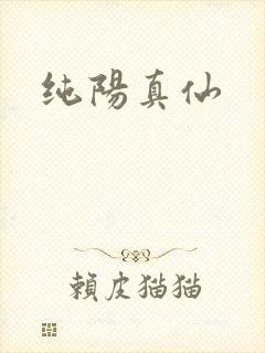 纯阳真仙
