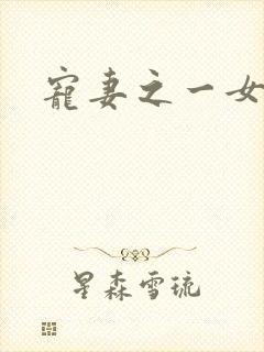 宠妻之一女二夫