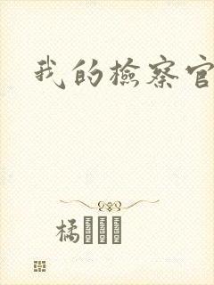 我的检察官先生