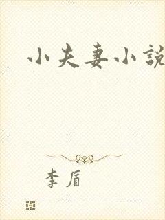 小夫妻小说