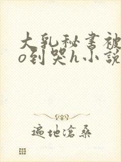 大乳秘书被cao到哭h小说